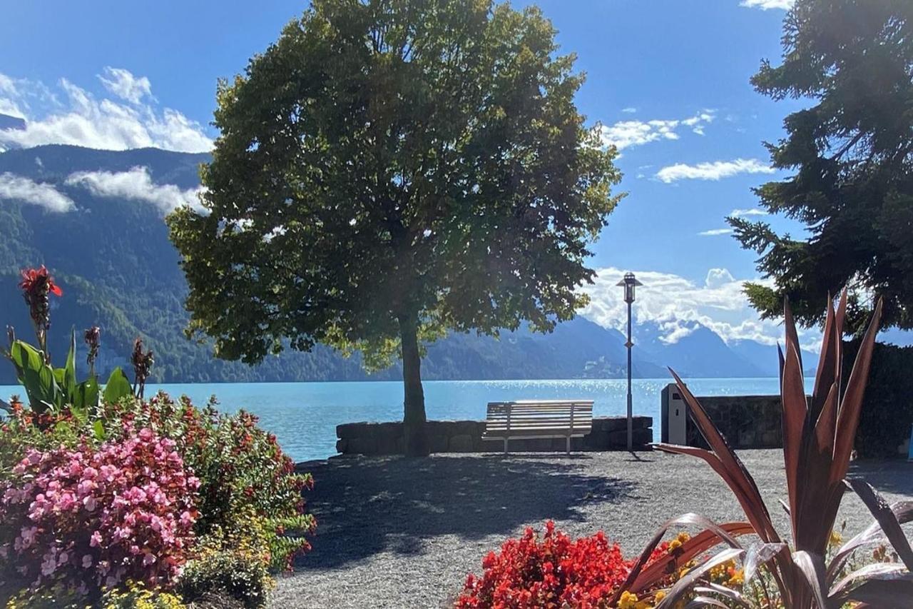 Holiday Apartments Falke Brienz  Buitenkant foto
